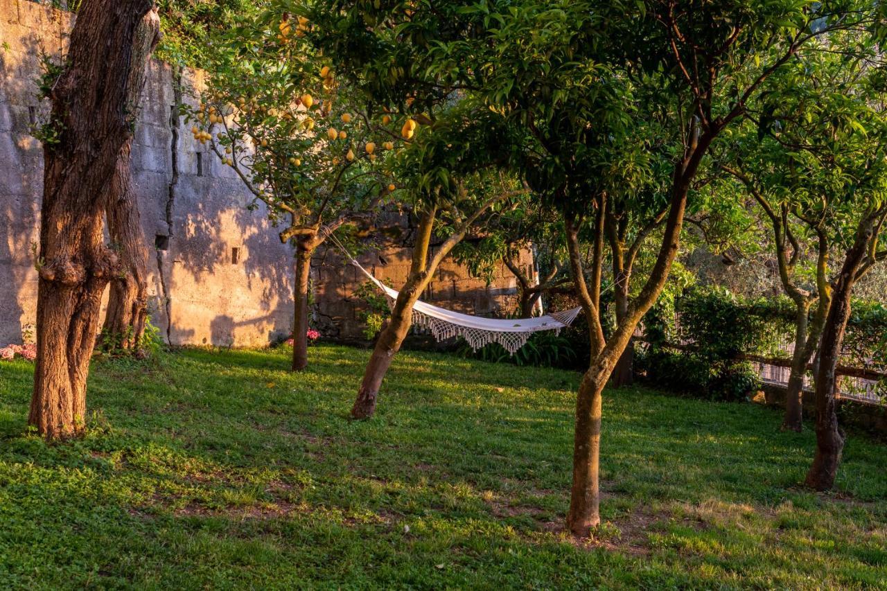 Villa Carolina Sorrento Private Heated Pool And Sea View Εξωτερικό φωτογραφία
