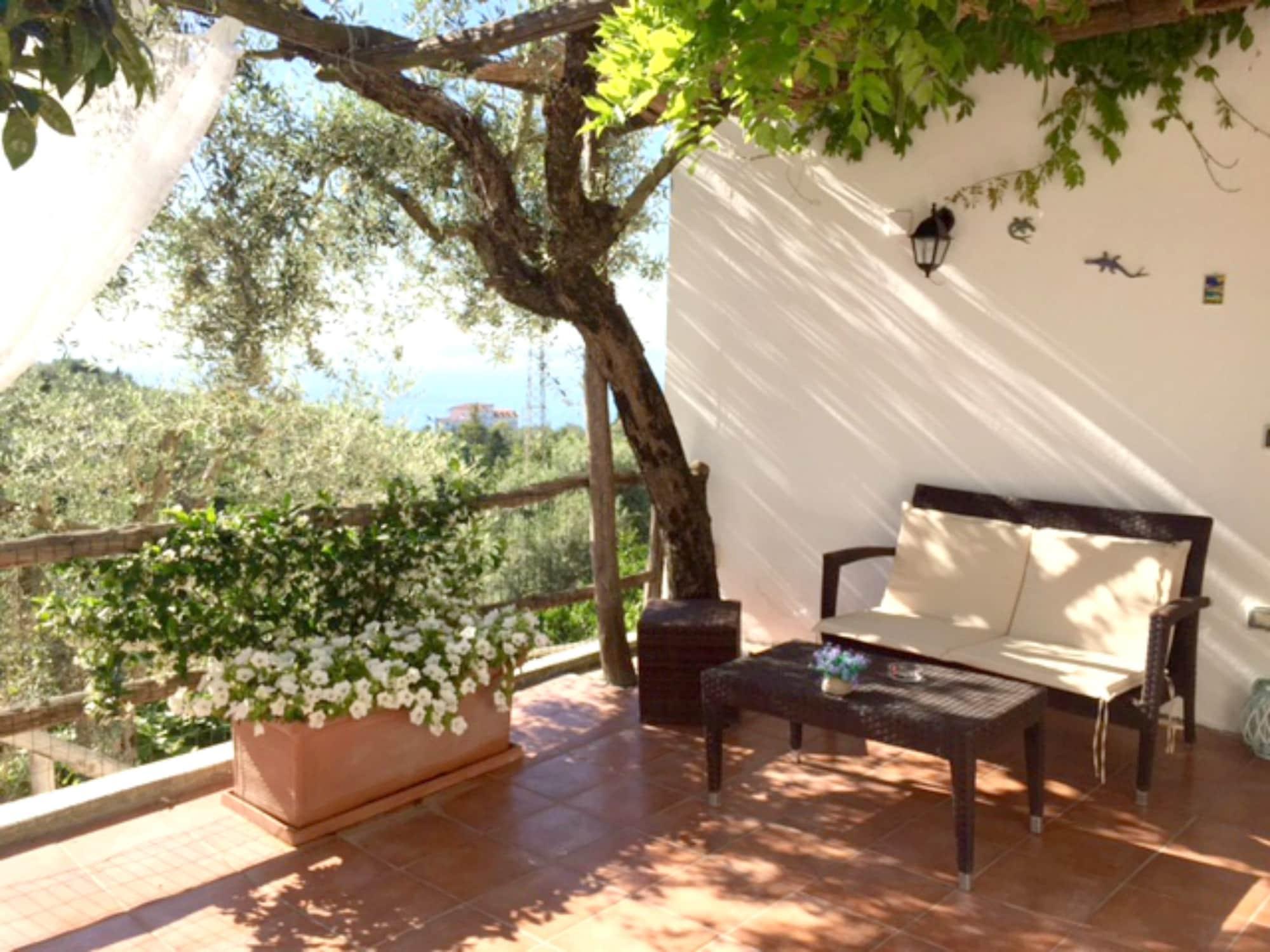 Villa Carolina Sorrento Private Heated Pool And Sea View Εξωτερικό φωτογραφία