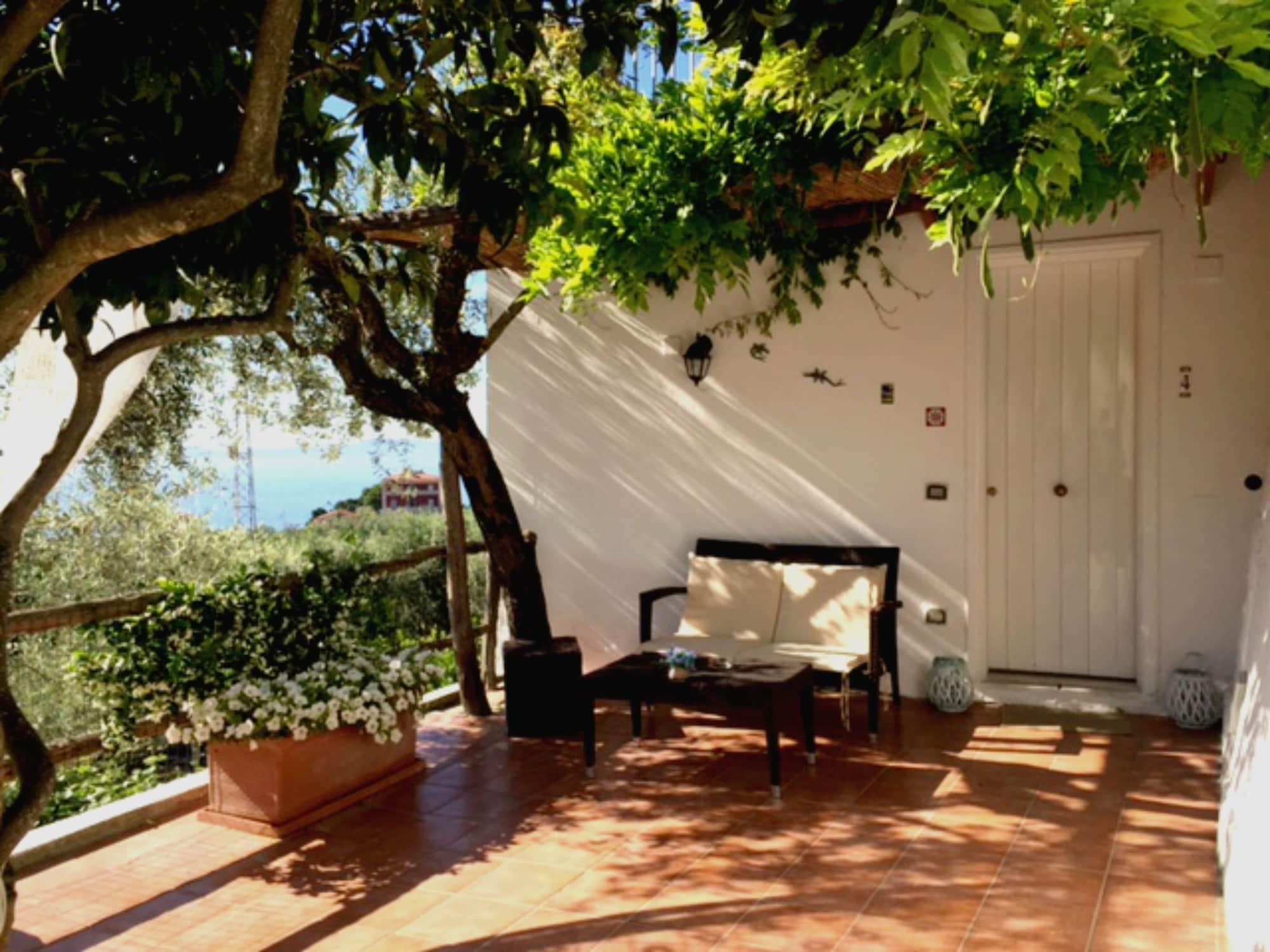 Villa Carolina Sorrento Private Heated Pool And Sea View Εξωτερικό φωτογραφία