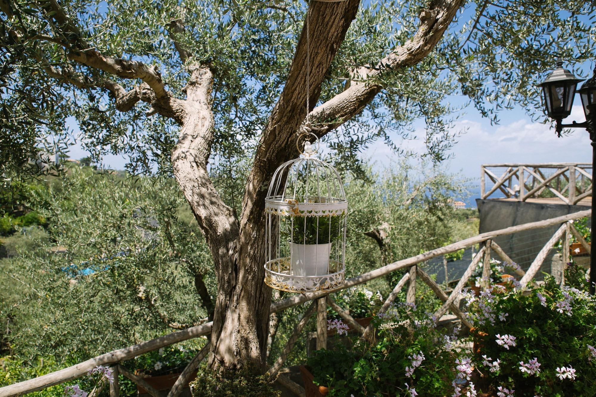 Villa Carolina Sorrento Private Heated Pool And Sea View Εξωτερικό φωτογραφία