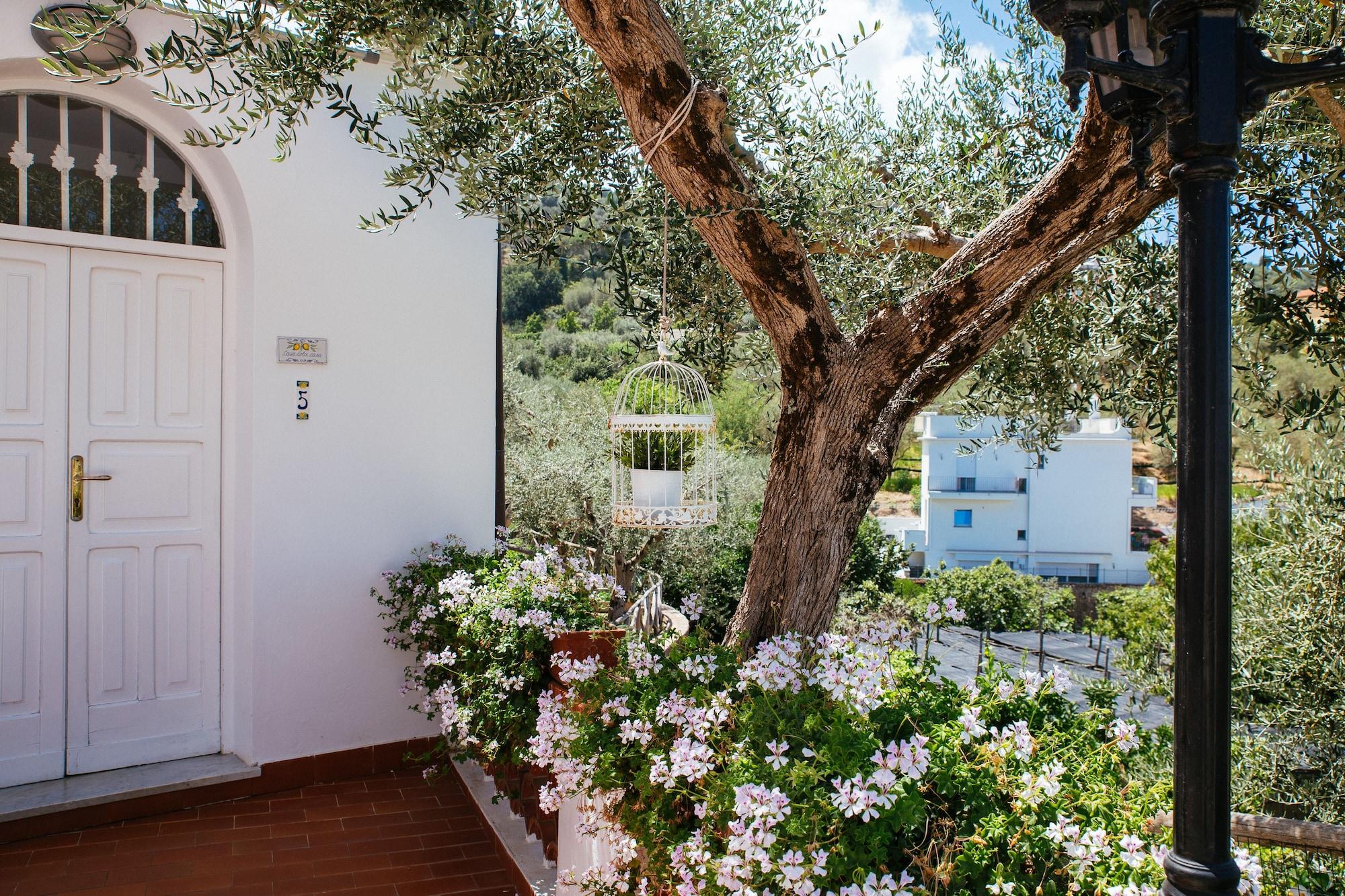 Villa Carolina Sorrento Private Heated Pool And Sea View Εξωτερικό φωτογραφία