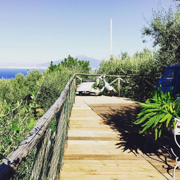 Villa Carolina Sorrento Private Heated Pool And Sea View Εξωτερικό φωτογραφία