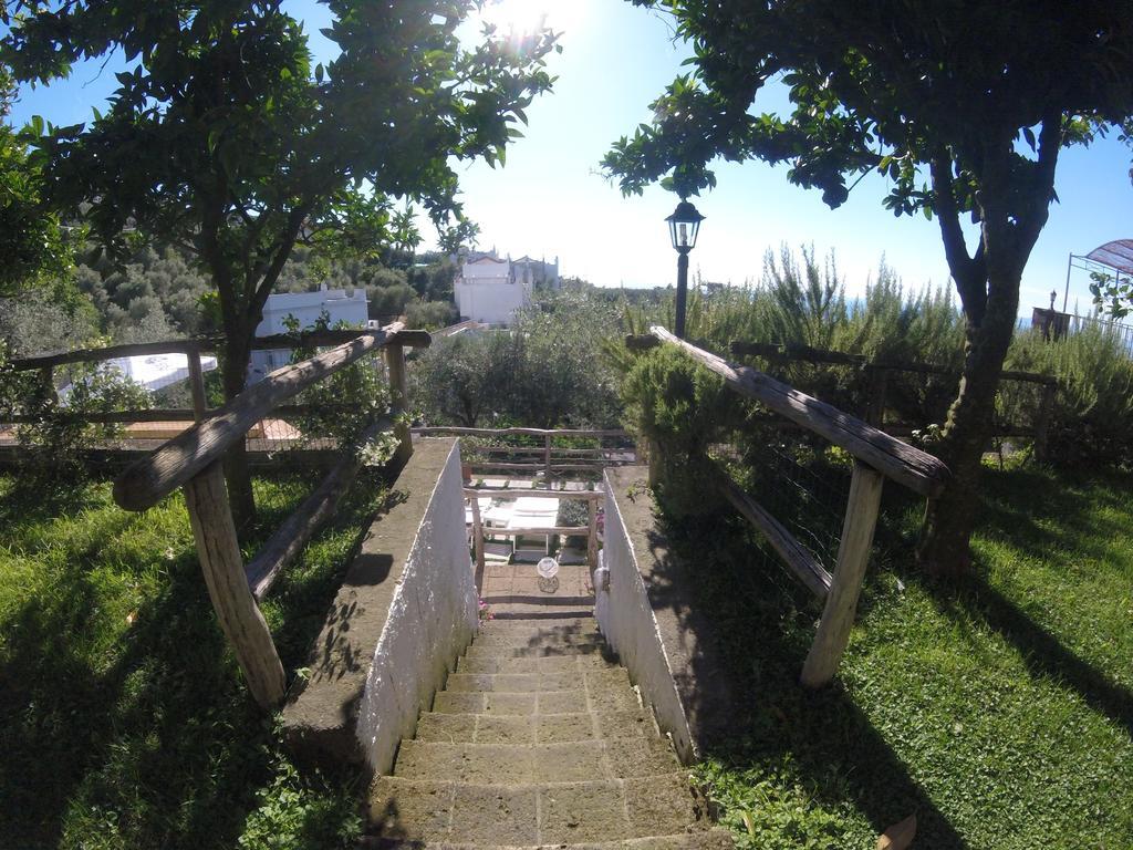 Villa Carolina Sorrento Private Heated Pool And Sea View Εξωτερικό φωτογραφία